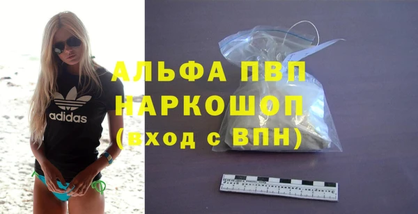 стаф Аркадак