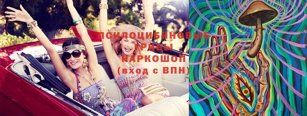 стаф Аркадак