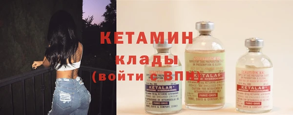 стаф Аркадак