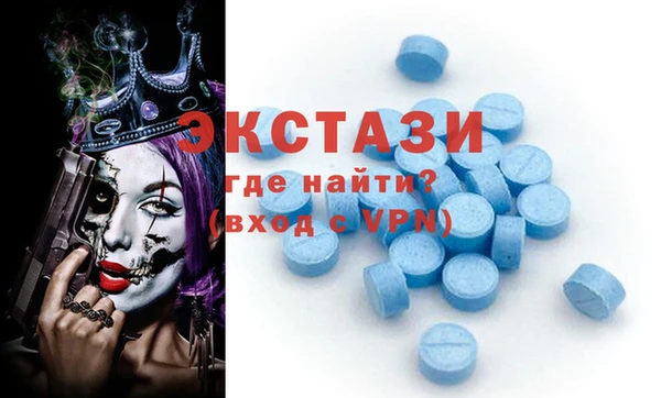 стаф Аркадак