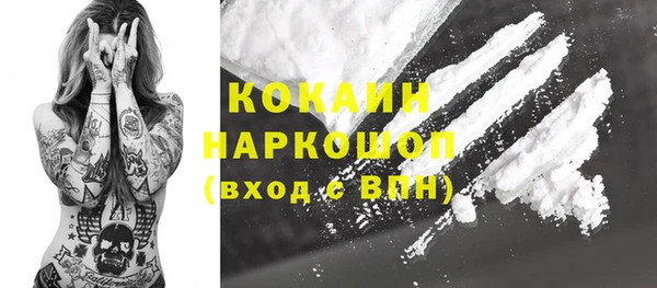 стаф Аркадак